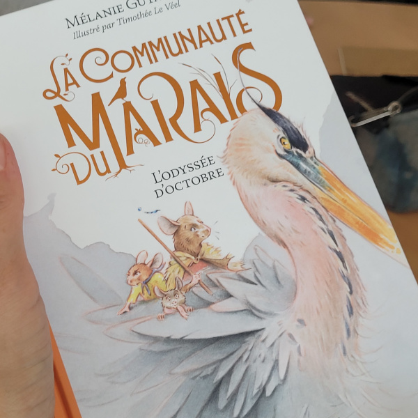 2025 10 malesherboisclub1