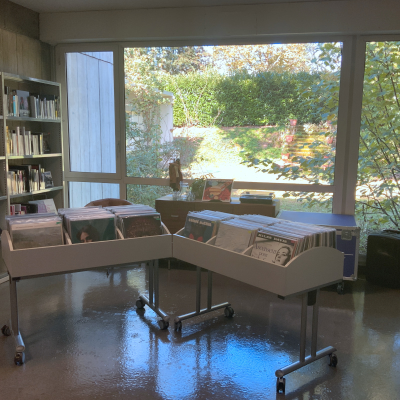 espace vinyles